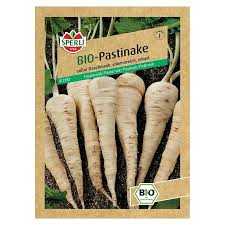 Image result for Pastinake