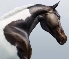 Image result for jill greenberg