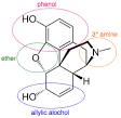 Functional Groups
