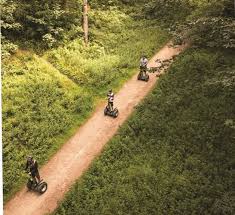 Image result for Go Ape! Dalby