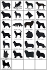 Herding Group