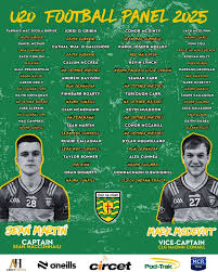 Image result for Aodh Ruadh Clg