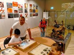 Attēlu rezultāti vaicājumam “Claustria didermoides spores”