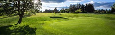 Image result for Auchterarder Bowling Club
