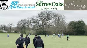 Image result for Newdigate F C
