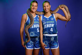 Image result for Shelley Netball Club