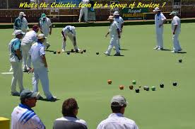 Image result for Albany Park Bowls Club