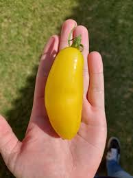 Afbeeldingsresultaat voor banana legs tomato