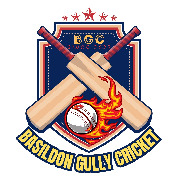 Image result for Ingatestone & Fryerning Cricket Club