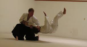 Image result for Durham City Aikikai
