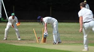 Image result for Whitchurch Wayfarers Cricket Club
