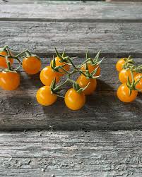 Afbeeldingsresultaat voor broad ripple yellow currant tomato