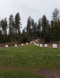 Image result for Derwynd Field Archery Club