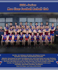 Image result for Meon Netball Club