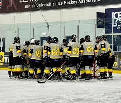 Image result for Sheffield Blazers