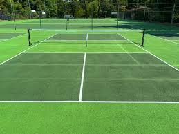 Image result for Dorset Pickleball Club