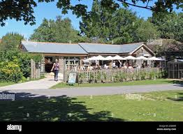 Image result for Chichester Priory Park Hockey Club