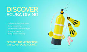 Image result for 3D Diving Club