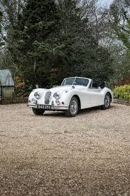 Image result for Old English White 1955 Jaguar