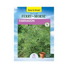 Image result for selvatici tehron