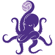 Image result for Stoke Willfield Octopush Club