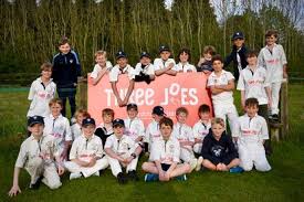 Image result for Bishops Waltham Cricket Club