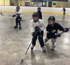 Image result for Halifax Roller Hockey Club