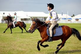 Image result for Reading University Riding Club