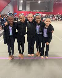 Image result for Elite Recreational Gymnastics Club