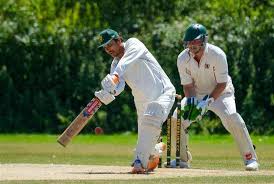 Image result for Theale and Tilehurst Cricket Club