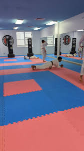 Image result for GKR KARATE - ESSEX & SUFFOLK