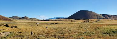 Attēlu rezultāti vaicājumam “Craterium sp.”