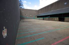 Image result for The Royal Tennis Court