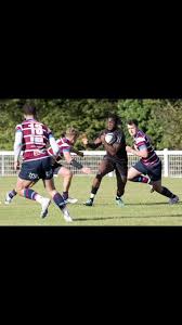 Image result for Rochford Hundred Rugby Club