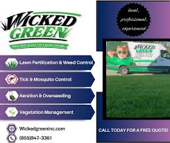 Image result for green ...ed=0CEIQsAQwAw