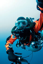 Image result for innerspace divers