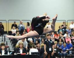 Image result for L&G Acrobatic Gymnastics Club