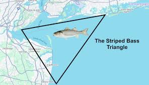 Image result for Prospect Angling Club