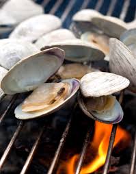 Image result for Clams