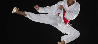 Image result for White Tiger Martial Arts