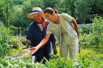 Guadalupe County Master Gardeners | Wish List