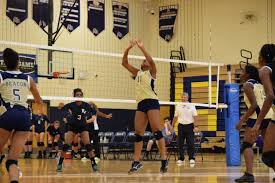 Image result for Beacon Volleyball Club