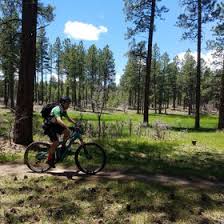 Image result for Bogtrotters Mountain Bike Club