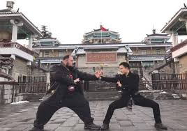 Image result for BARNET and WHETSTONE CHANGQUAN FLYING DRAGON