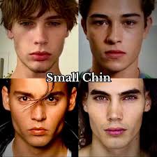 Image result for Co de Crista Chins