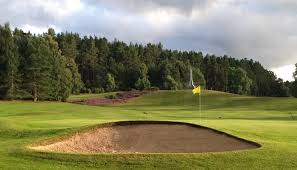 Image result for Abernethy Golf Club