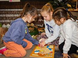 Image result for Cambrian Centre for Activity