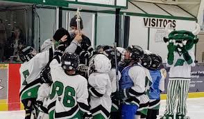 Image result for Godalming In-Line Hockey Club