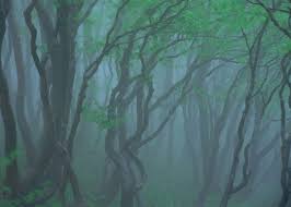 Znalezione obrazy dla zapytania takashi amano%