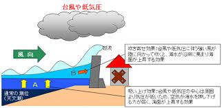 Image result for 高潮 津波 別物